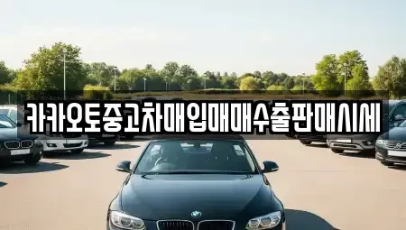 인천 옹진군 중고차 전문 카카오토중고차매입매매수출판매시세