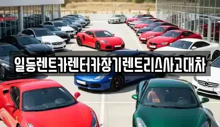 인천 중구 운북동 장기렌트카,중고차,렌트카,단기렌트카,중고차매입,중고차매매