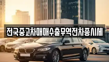 인천 중구 운북동 중고차 전문 전국중고차매매수출무역전차종시세