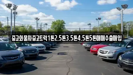 인천 중구 운북동 중고차매입 전문 중고화물차중고트럭1톤2.5톤3.5톤4.5톤5톤매매수출매입