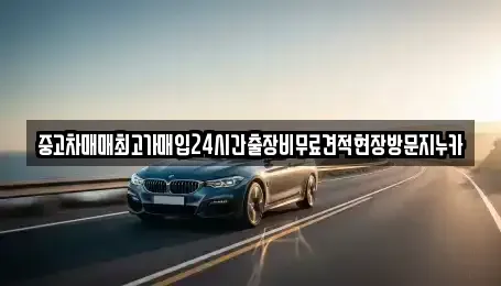 인천 중구 중산동 중고차매입 전문 중고차매매최고가매입24시간출장비무료견적현장방문지누카