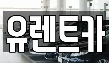 인천광역시 서구 가정동 단기렌트카 전문 유렌트카