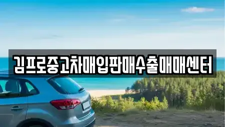인천광역시 서구 가정동 중고차 전문 김프로중고차매입판매수출매매센터
