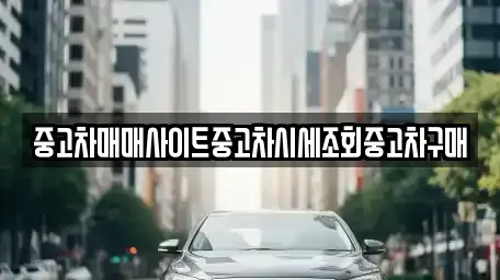 인천광역시 중구 전동 중고차 전문 중고차매매사이트중고차시세조회중고차구매