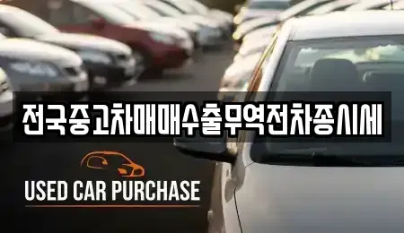 인천광역시 중구 전동 중고차매매 전문 전국중고차매매수출무역전차종시세