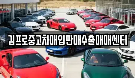 인천광역시 중구 전동 중고차매입 전문 김프로중고차매입판매수출매매센터