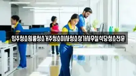 입주청소원룸청소거주청소이사청소상가사무실식당청소전문