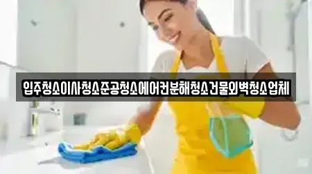 입주청소이사청소준공청소에어컨분해청소건물외벽청소업체