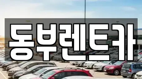 전남 광양시 광양읍 렌트카 전문 동부렌트카
