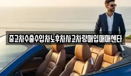 전남 광양시 광양읍 중고차매입 전문 중고차수출수입차노후차사고차량매입매매센타