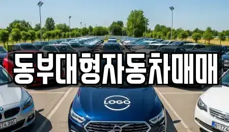 전남 광양시 옥곡면 중고차 전문 동부대형자동차매매