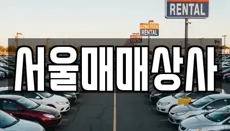 전남 광양시 옥곡면 중고차 전문 서울매매상사