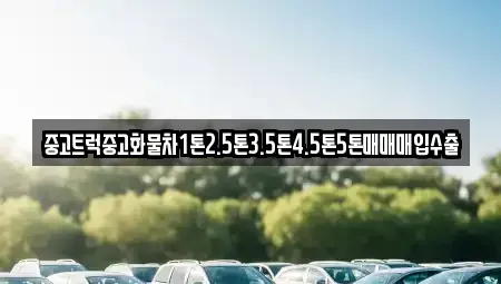 전남 광양시 옥곡면 중고차매입 전문 중고트럭중고화물차1톤2.5톤3.5톤4.5톤5톤매매매입수출