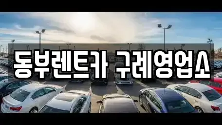 전남 구례군 마산면 렌트카 전문 동부렌트카 구례영업소