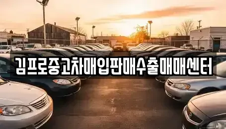 전남 구례군 마산면 중고차매입 전문 김프로중고차매입판매수출매매센터