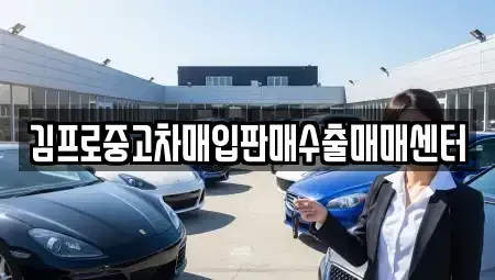 전남 나주시 성북동 중고차 전문 김프로중고차매입판매수출매매센터