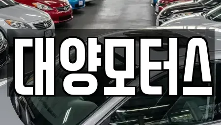 전남 나주시 성북동 중고차 전문 대양모터스