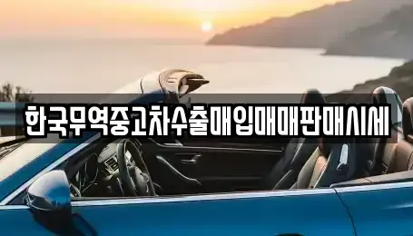 전남 나주시 영산동 중고차매입 전문 한국무역중고차수출매입매매판매시세