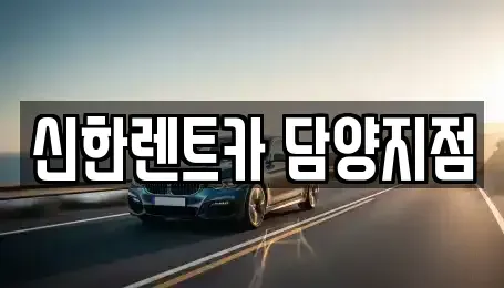 전남 담양군 담양읍 렌트카 전문 신한렌트카 담양지점