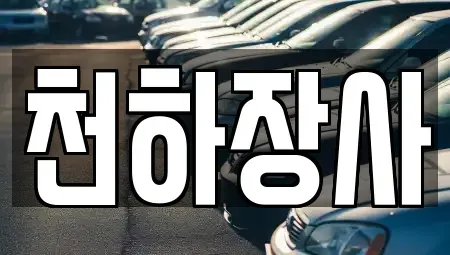 전남 담양군 담양읍 중고차매매 전문 천하장사