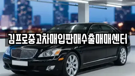 전남 목포시 산정동 중고차 전문 김프로중고차매입판매수출매매센터