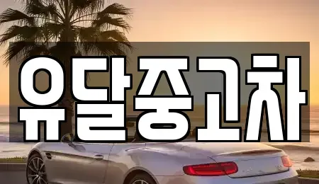 전남 목포시 중고차 전문 유달중고차