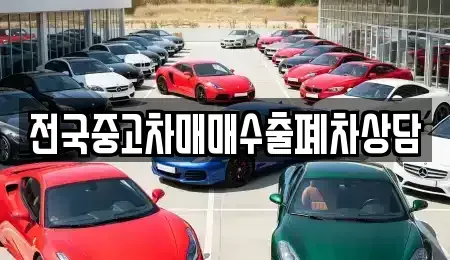 전남 목포시 중고차 전문 전국중고차매매수출폐차상담