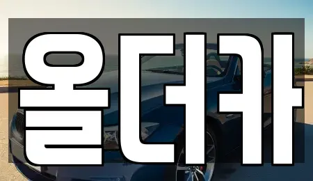 전남 영광군 군서면 장기렌트카 전문 올더카