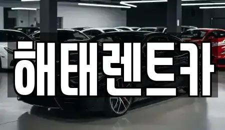 전남 영광군 법성면 렌트카,단기렌트카,장기렌트카,중고차,중고차매매,중고차매입