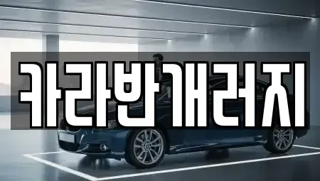 전남 장성군 중고차 전문 카라반개러지
