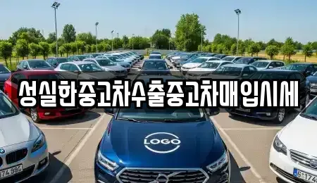 전남 장성군 중고차매입 전문 성실한중고차수출중고차매입시세