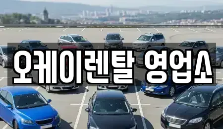 전남 장성군 황룡면 렌트카 전문 오케이렌탈 영업소