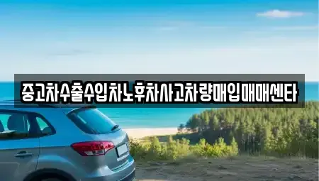전남 장성군 황룡면 중고차매입 전문 중고차수출수입차노후차사고차량매입매매센타