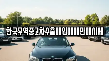 전남 장성군 황룡면 중고차매입 전문 한국무역중고차수출매입매매판매시세
