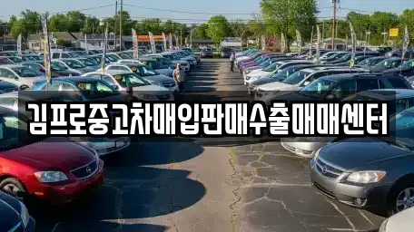 전남 진도군 중고차매매 전문 김프로중고차매입판매수출매매센터