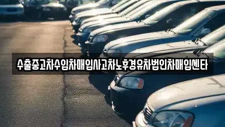 전남 진도군 중고차매입 전문 수출중고차수입차매입사고차노후경유차법인차매입센타