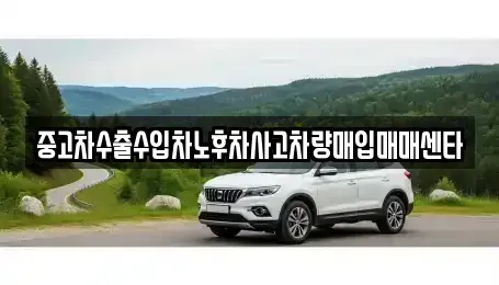 전남 진도군 중고차매입 전문 중고차수출수입차노후차사고차량매입매매센타