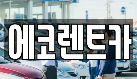 전라남도 담양군 고서면 렌트카 전문 에코렌트카