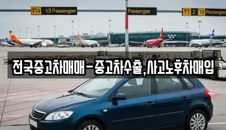 전라남도 목포시 동명동 중고차 전문 전국중고차매매-중고차수출,사고노후차매입