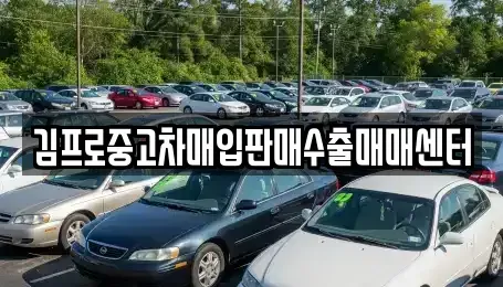 전라남도 목포시 동명동 중고차매입 전문 김프로중고차매입판매수출매매센터