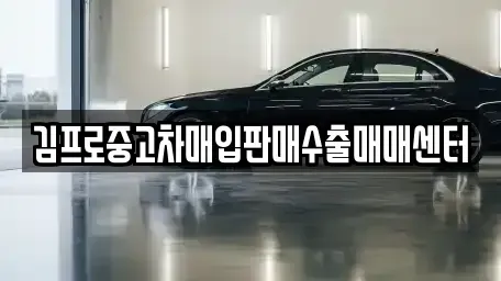 전라남도 보성군 중고차매입 전문 김프로중고차매입판매수출매매센터