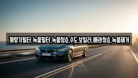 전라남도 순천시 와룡동 렌트카 전문 계량기필터,녹물필터,녹물청소,수도,보일러,배관청소,녹물제거