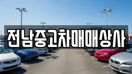 전북 전주시 완산구 서서학동 중고차매매 전문 전남중고차매매상사