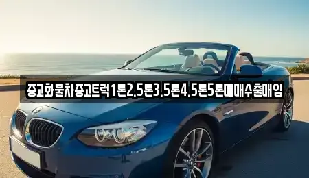 전북 전주시 완산구 서서학동 중고차매매 전문 중고화물차중고트럭1톤2.5톤3.5톤4.5톤5톤매매수출매입