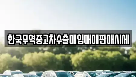 전북 정읍시 시기동 중고차매입 전문 한국무역중고차수출매입매매판매시세