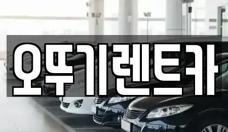 전북특별자치도 고창군 신림면 렌트카 전문 오뚜기렌트카