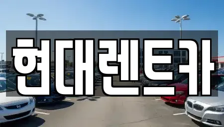 전북특별자치도 군산시 개복동 렌트카 전문 현대렌트카