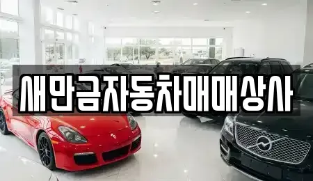 전북특별자치도 군산시 개복동 중고차 전문 새만금자동차매매상사
