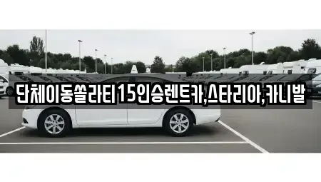 전북특별자치도 군산시 금광동 렌트카 전문 단체이동쏠라티15인승렌트카,스타리아,카니발