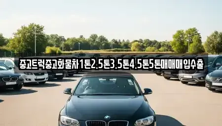 전북특별자치도 김제시 백학동 중고차매입 전문 중고트럭중고화물차1톤2.5톤3.5톤4.5톤5톤매매매입수출